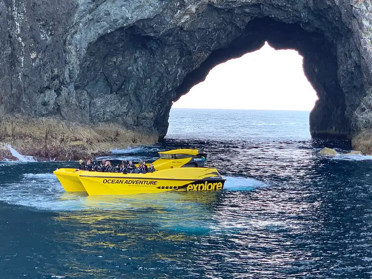 Hole in the Rock Ocean Cruise in the Bay of Islands