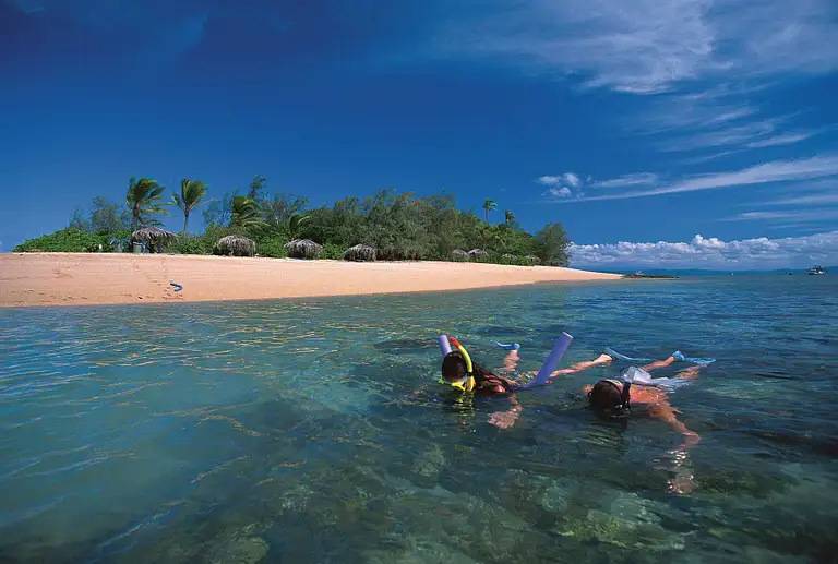 Snorkelling with Turtles at Low Isles