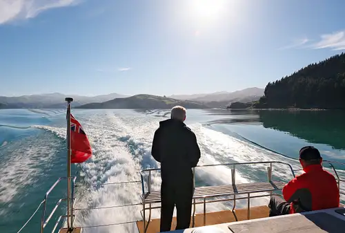 Akaroa Harbour and Nature Cruise