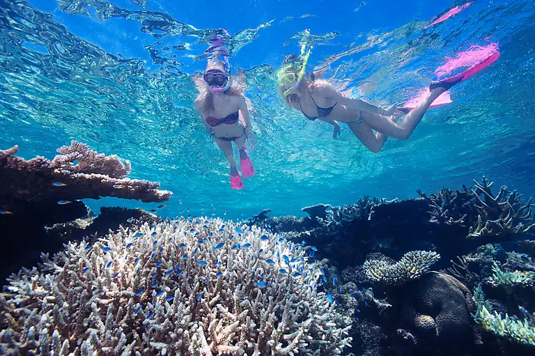 Outer Reef tour Cairns