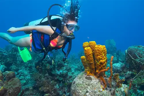 Single Scuba Dive at Wave Break Island
