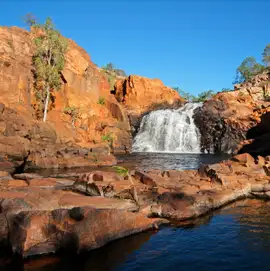 Kakadu