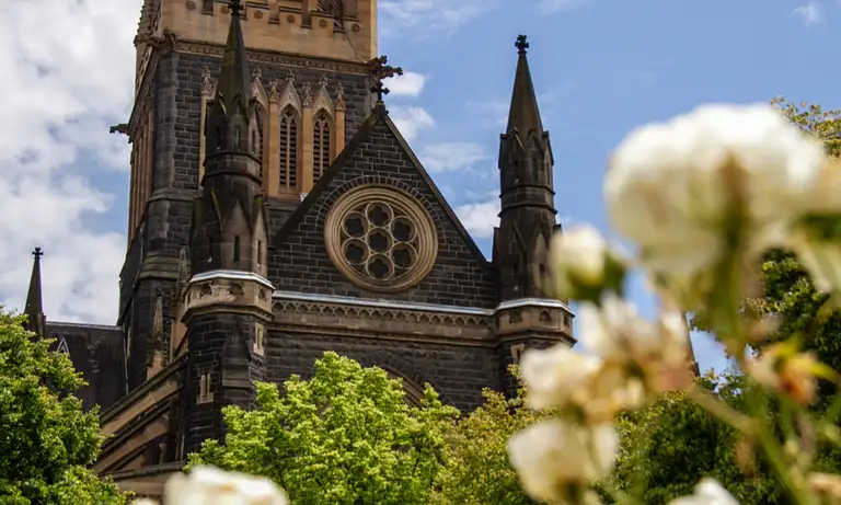 Melbourne City Discovery Tour Highlights